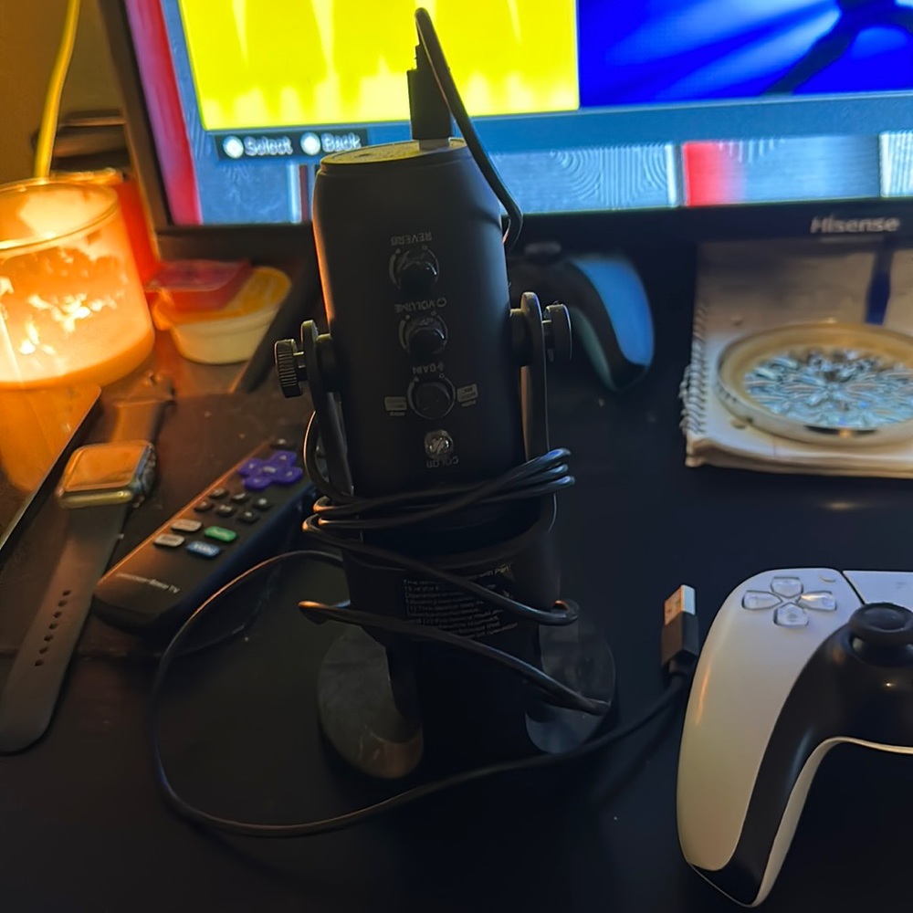 Mic